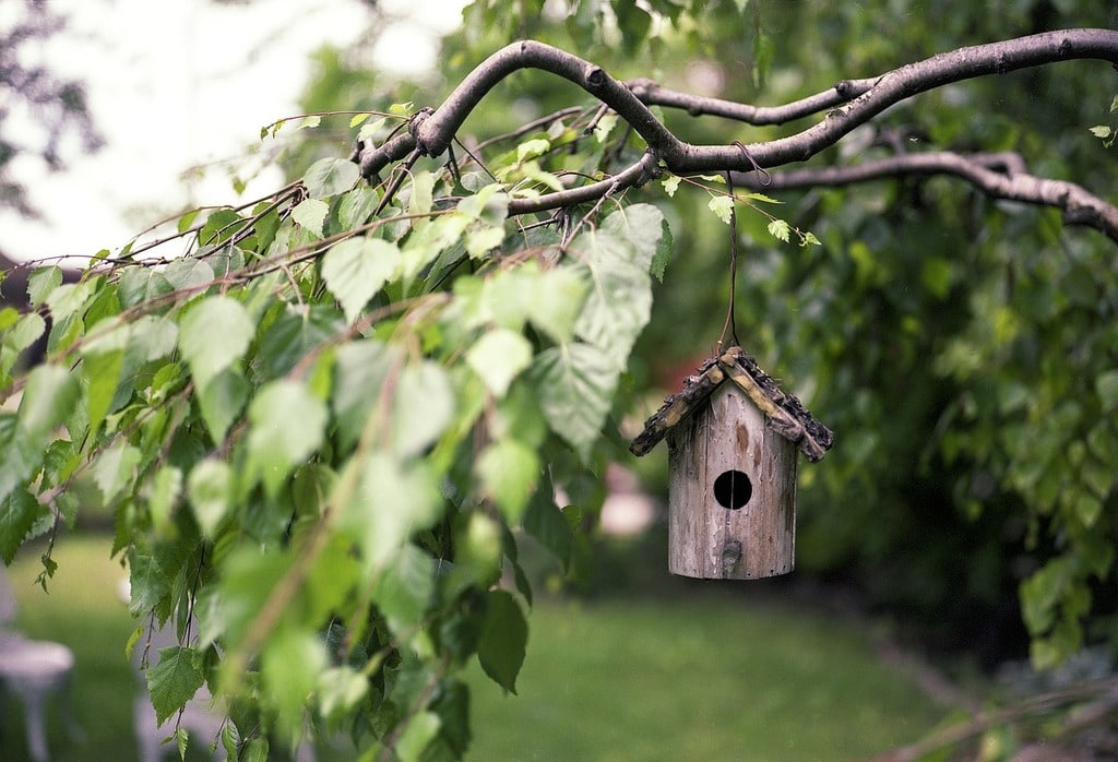 Comment construire un bunker dans son jardin ?